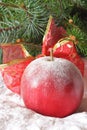 Christmas apple. Royalty Free Stock Photo