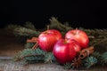 Christmas apples with cinnamon and badyan with branches of Christmas-tree Royalty Free Stock Photo