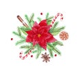 Watercolor Christmas arrangement with green fir branches and flowers of poinsettia, cinnamon, candy, cardamom isolated on white
