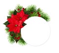 Christmas arrangement with red poinsettia flowers, pine twigs an Royalty Free Stock Photo