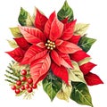 Christmas arrangement with red Poinsettia, Illustration for Christmas holiday, New Year, Yule, Noel