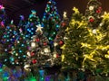 Christmas atmosphere: a group of colored christmas tree at night