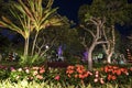 Christmas atmosphere at Jardim Municipal park in Funchal