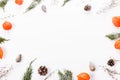 Christmas or autumn composition. Thuja twigs, cones in the snow, physalis Top view, flat lay, copy space Royalty Free Stock Photo