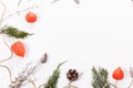 Christmas or autumn composition. Thuja twigs, cones in the snow, physalis Top view, flat lay, copy space Royalty Free Stock Photo