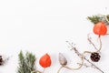 Christmas or autumn composition. Thuja twigs, cones in the snow, physalis Top view, flat lay, copy space Royalty Free Stock Photo