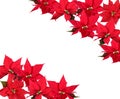 Christmas Background Royalty Free Stock Photo