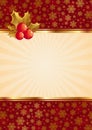 Christmas background with berries Royalty Free Stock Photo