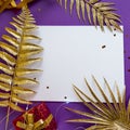 Christmas background with a blank sheet of paper, red gift boxes, golden branches of a palm tree, on a blue lilac Royalty Free Stock Photo