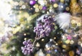 Christmas background with blurred bokeh of Xmas glowing lights and fir tree branch with violet berries