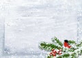 Christmas background with bullfinch on snow branch