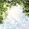 Christmas Background with Christmas Tree and Snow on Abstra Royalty Free Stock Photo