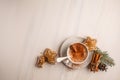 Christmas background: cocoa and ginger biscuits Royalty Free Stock Photo