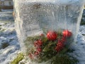 Christmas background, decaration in ice Royalty Free Stock Photo