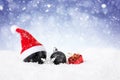 Christmas Background - Decorated Black Balls On Snow with snowflakes and stars Royalty Free Stock Photo