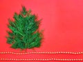 Christmas background. Dill leaves in the form of a Christmas tree on a red background. Happy New Year. Copyspace