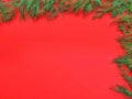 Christmas background. Dill leaves on a red background. Happy New Year. Copyspace