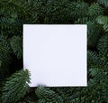 Christmas background with evergreen tree Royalty Free Stock Photo
