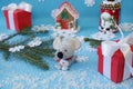 Christmas background with fir branches and a rat and gingerbread, snowman, snowflakes and a red gift box with a white ribbon Royalty Free Stock Photo