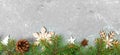 Christmas background with fir tree and gift box on wooden table. Top view with copy space for your banner design Royalty Free Stock Photo