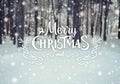 Christmas background with fir trees and blurred background of winter with text Merry Christmas and Happy New Year. Frosty winter Royalty Free Stock Photo