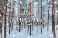 Christmas background with fir trees and blurred background of winter with text Merry Christmas and Happy New Year Royalty Free Stock Photo