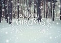 Christmas background with fir trees and blurred background of winter with text Merry Christmas and Happy New Year. Royalty Free Stock Photo