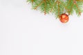 Christmas background, fresh fir tree branches with red baubles and golden gifts isolated on white, new year web banner Royalty Free Stock Photo