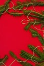 Christmas background with fresh Xmas tree branches and New Year gold beads on red background Royalty Free Stock Photo