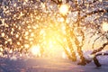 Christmas background with glowing snowflakes. Shining magic lights in winter nature. Scenery winter fairytale.