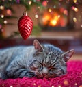 Christmas background with gray cat sleeps comfortably near the fireplace. Royalty Free Stock Photo