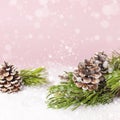 Christmas background, green pine branches, cones decorated with snow on snowy pink background. Creative composition with border Royalty Free Stock Photo