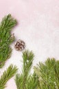 Christmas background, green pine branches, cones decorated with snow on snowy pink background. Creative composition with border Royalty Free Stock Photo