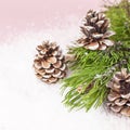 Christmas background, green pine branches, cones decorated with snow on snowy pink background. Creative composition with border Royalty Free Stock Photo