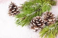 Christmas background, green pine branches, cones decorated with snow on snowy pink background. Creative composition with border Royalty Free Stock Photo