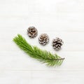 Christmas background, green pine branches, cones decorated with snow on white wooden table. Creative composition with border and c Royalty Free Stock Photo