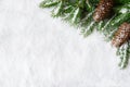 Christmas background, green pine branches, cones on snow background. Creative composition with border and copy space, top view. Royalty Free Stock Photo