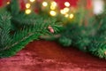 Christmas background, green pine branches on a red velvet festive background. Royalty Free Stock Photo