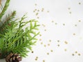 Christmas background. green spruce twigs Royalty Free Stock Photo