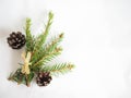 Christmas background. green spruce twigs Royalty Free Stock Photo
