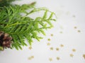 Christmas background. green spruce twigs Royalty Free Stock Photo