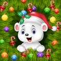 Christmas background with happy polar bear