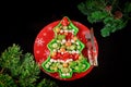 Christmas background with healthy salad on christmas tree shape plate and fir branches Royalty Free Stock Photo