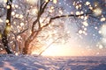 Christmas background. Magic glowing snowflakes in winter nature landscape. Beautiful winter scene with bokeh. Winter fairytale.