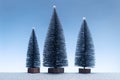 Minimalist scene with miniature fir trees and sparkly silver ground and blue sky Royalty Free Stock Photo