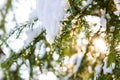 Christmas background with natural frost. Royalty Free Stock Photo