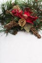 Christmas background with pine tree branch, pine cones, red flower and snow Royalty Free Stock Photo