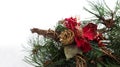 Christmas background with pine tree branch, pine cones, red flower in snow Royalty Free Stock Photo