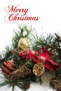 Christmas background with pine tree branch, pine cones, red flower and snow Royalty Free Stock Photo