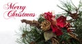 Christmas background with pine tree branch, pine cones, red flower in snow